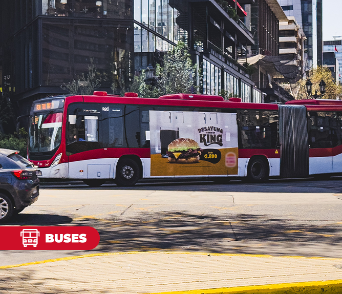 BUSES