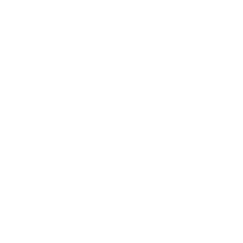 icon-shopping